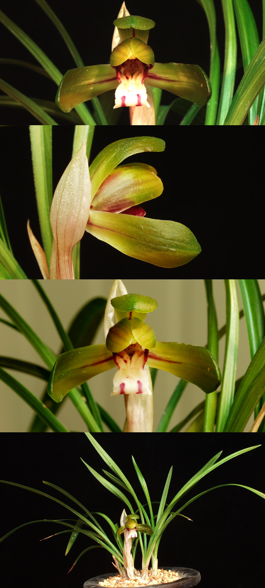 ������ ū������ �� �� �ֽ��ϴ�.