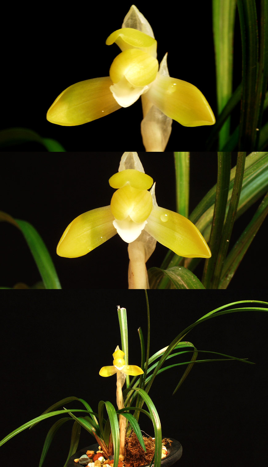 ������ ū������ �� �� �ֽ��ϴ�.