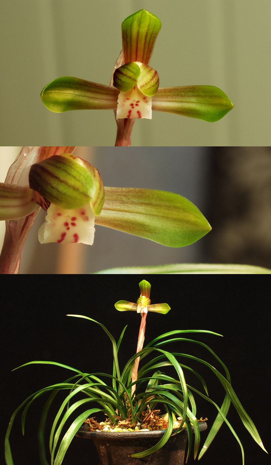 ������ ū������ �� �� �ֽ��ϴ�.