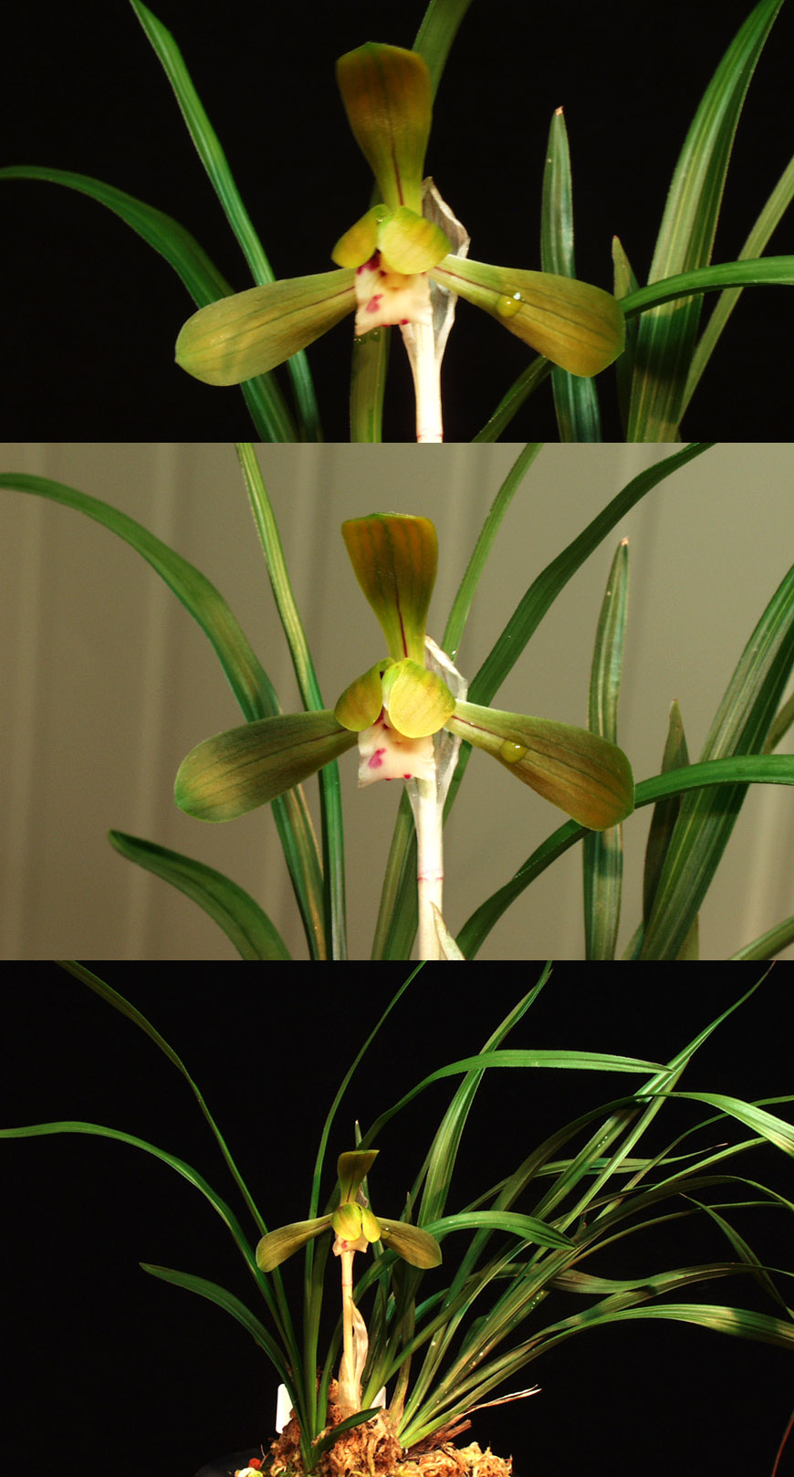 ������ ū������ �� �� �ֽ��ϴ�.