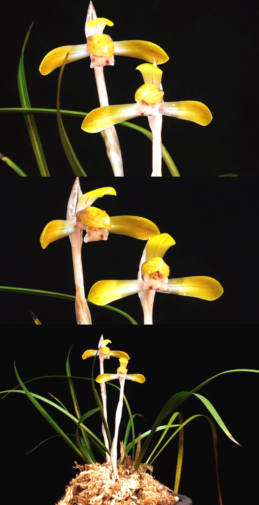 ������ ū������ �� �� �ֽ��ϴ�.