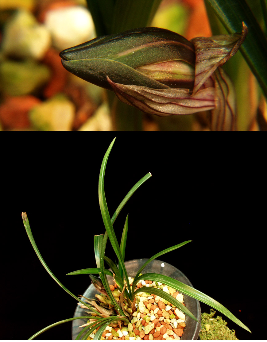 ������ ū������ �� �� �ֽ��ϴ�.