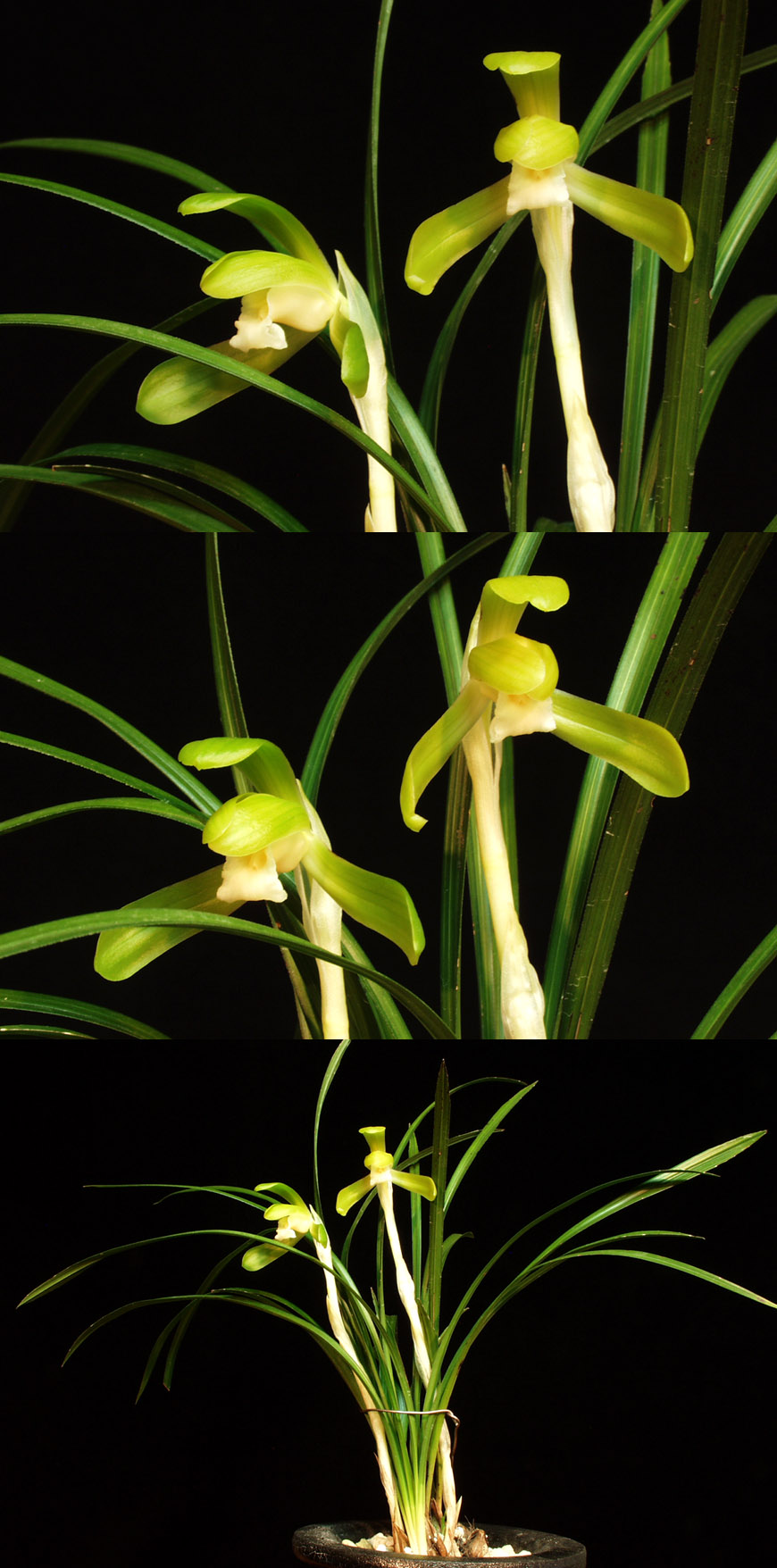 ������ ū������ �� �� �ֽ��ϴ�.