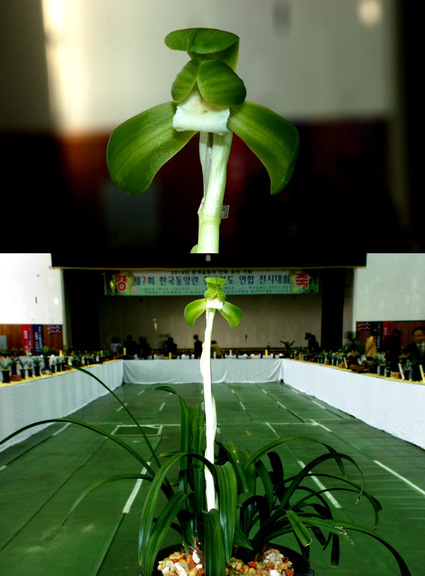 ������ ū������ �� �� �ֽ��ϴ�.