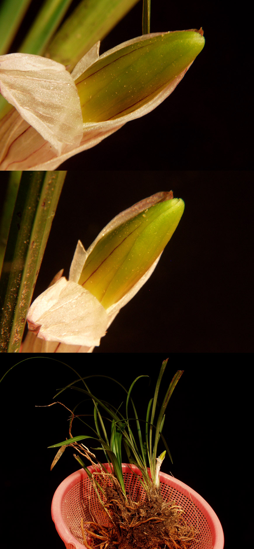 ������ ū������ �� �� �ֽ��ϴ�.