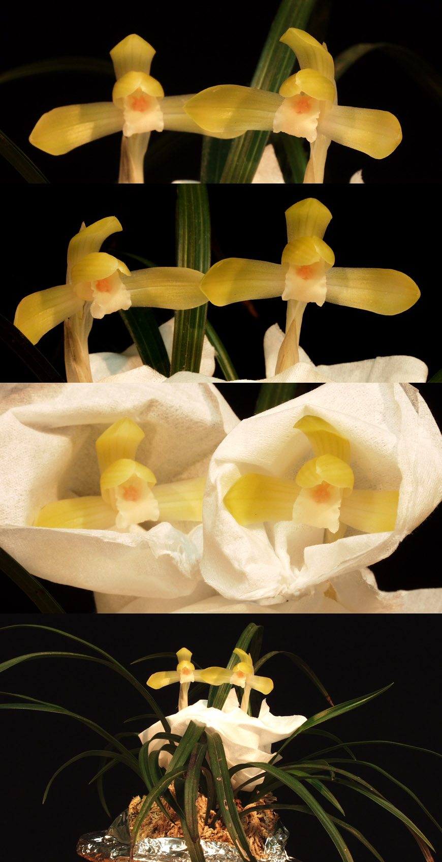 ������ ū������ �� �� �ֽ��ϴ�.