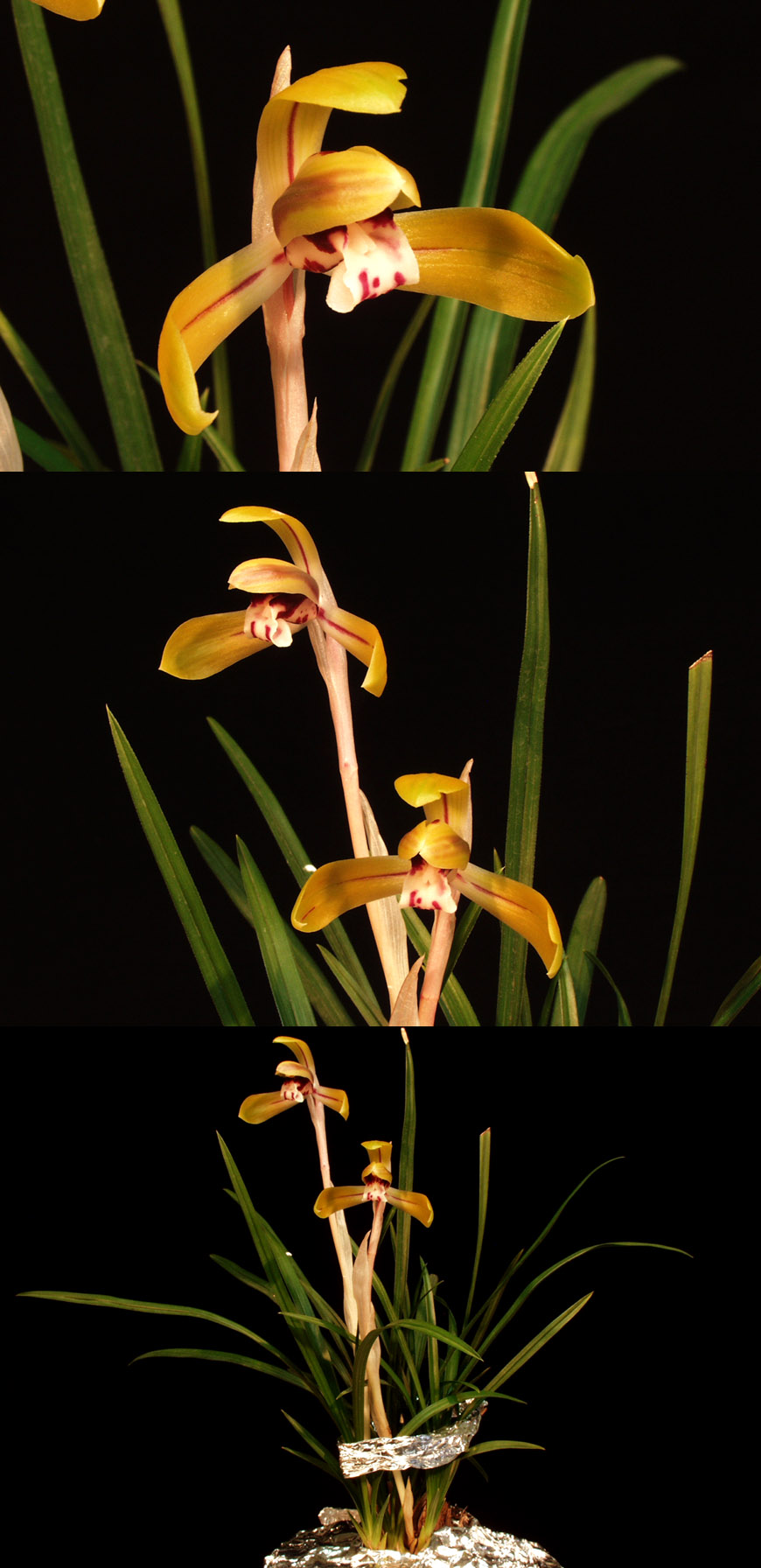 ������ ū������ �� �� �ֽ��ϴ�.