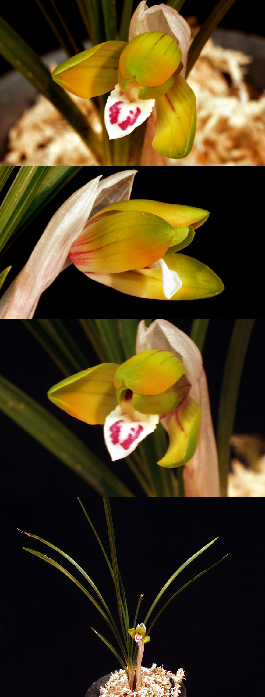 ������ ū������ �� �� �ֽ��ϴ�.