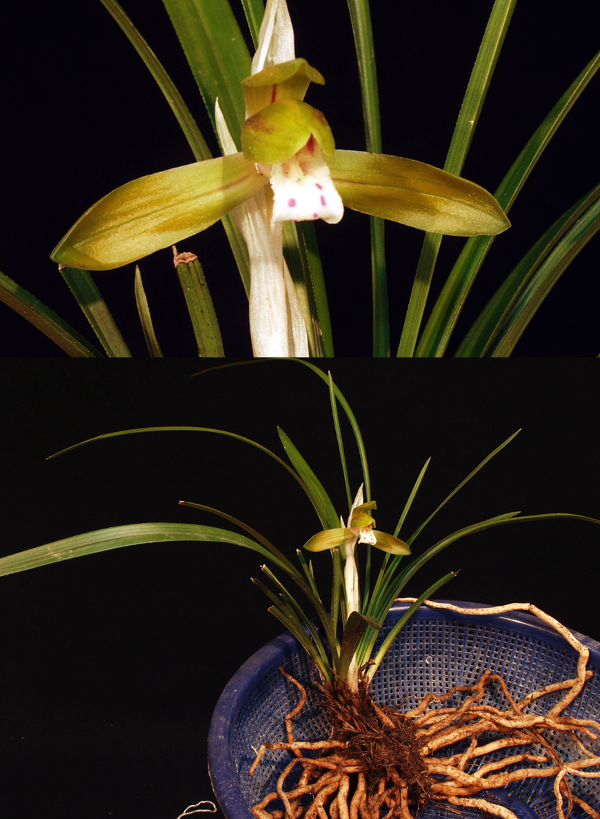 ������ ū������ �� �� �ֽ��ϴ�.