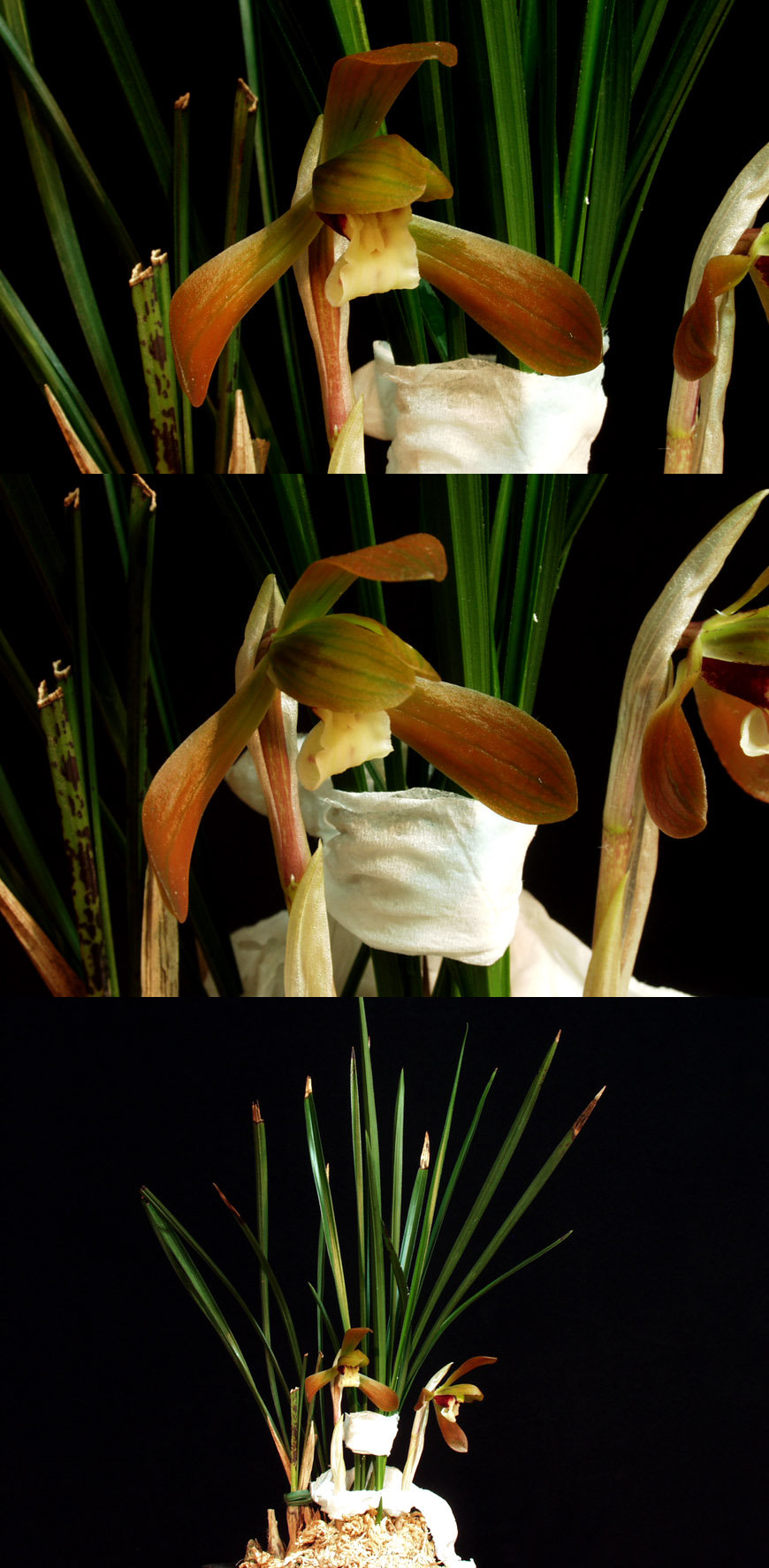 ������ ū������ �� �� �ֽ��ϴ�.