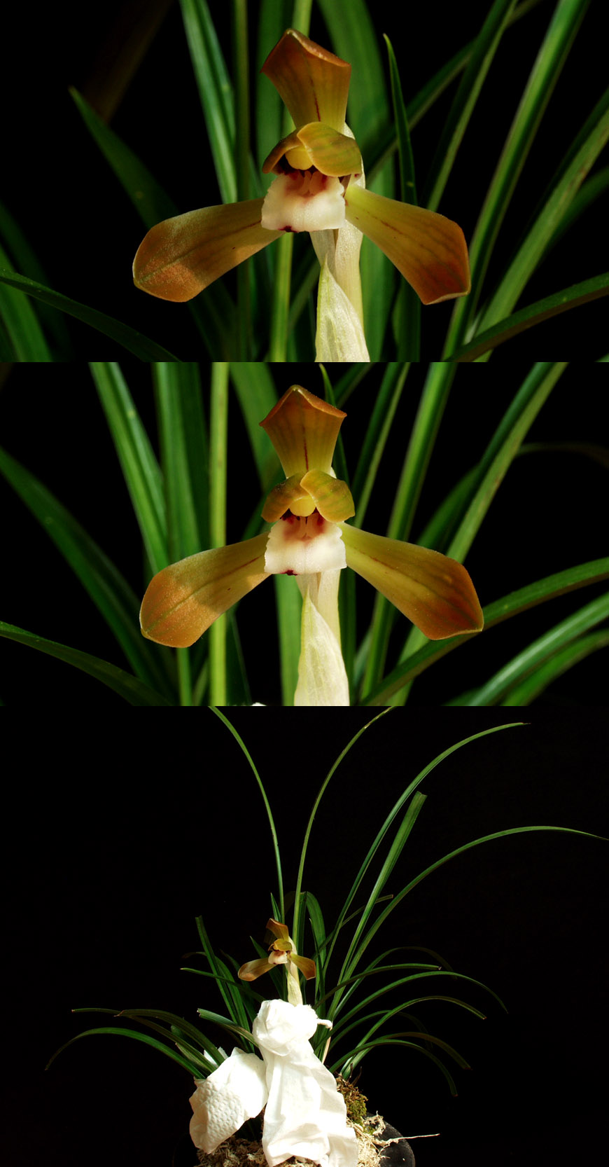 ������ ū������ �� �� �ֽ��ϴ�.