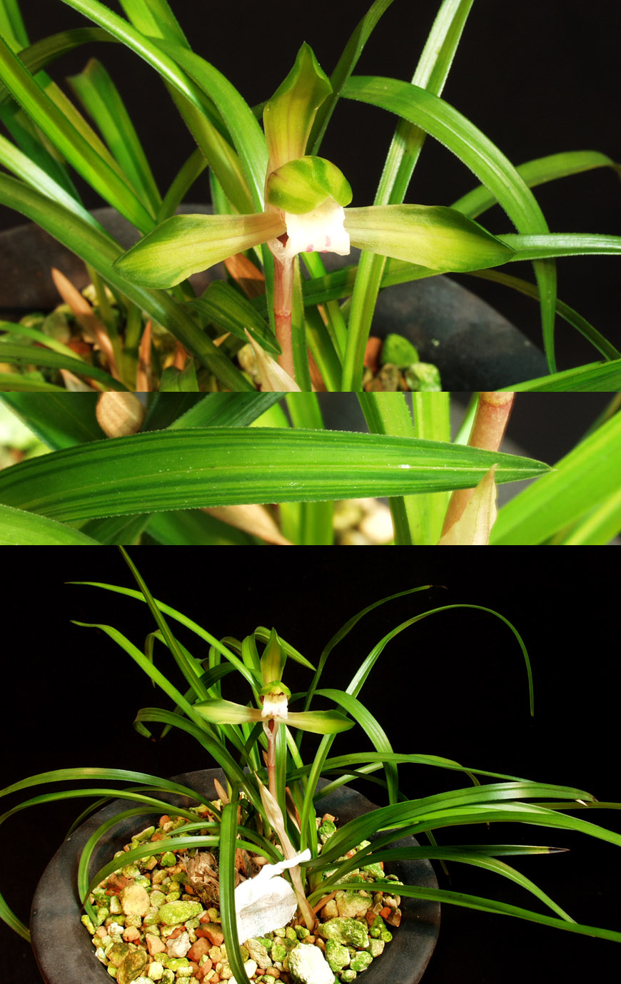 ������ ū������ �� �� �ֽ��ϴ�.