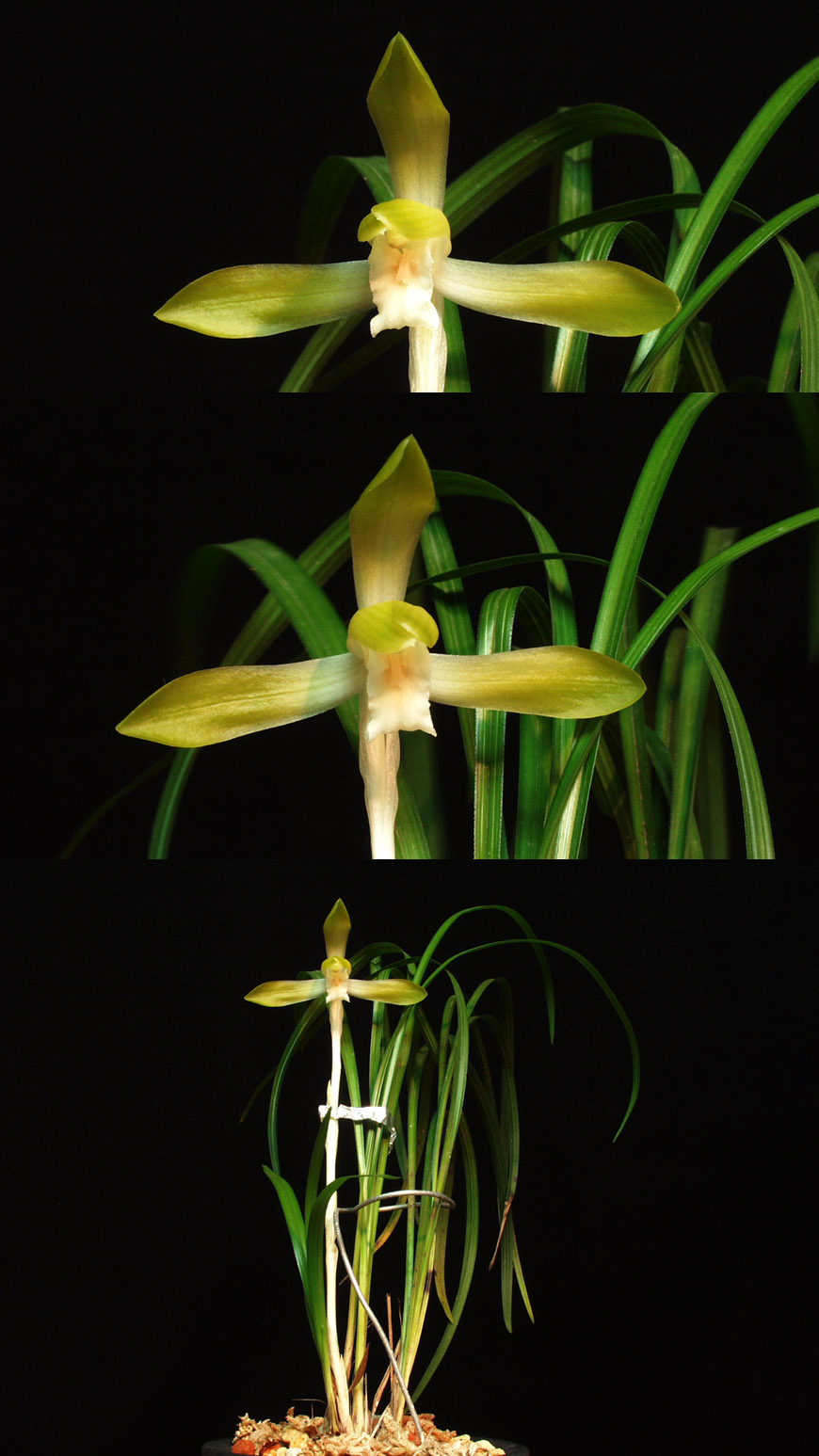 ������ ū������ �� �� �ֽ��ϴ�.