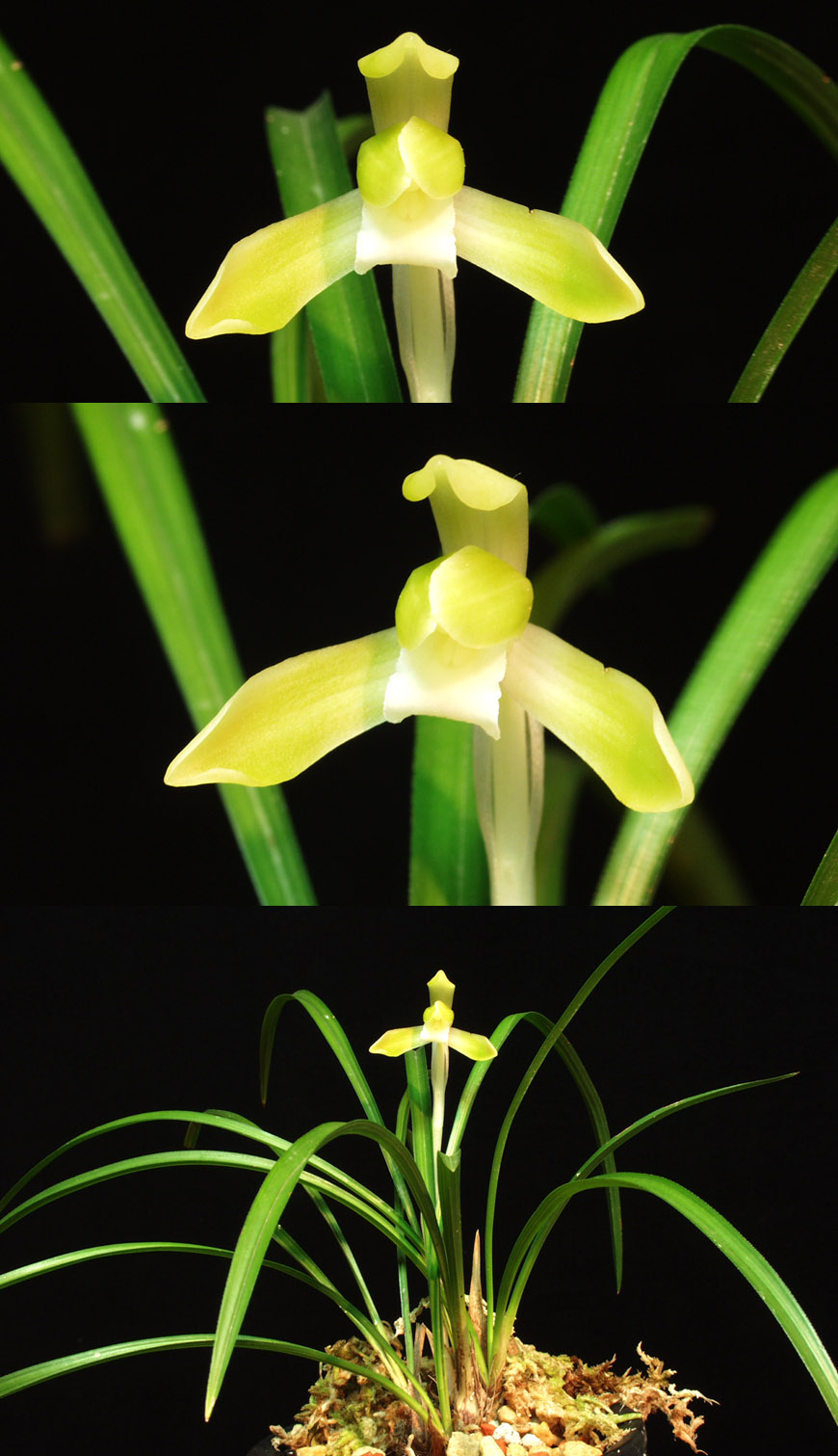 ������ ū������ �� �� �ֽ��ϴ�.