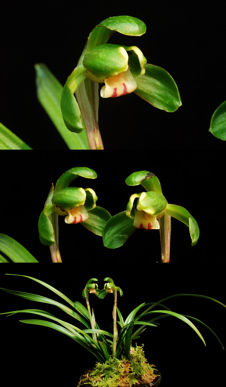 ������ ū������ �� �� �ֽ��ϴ�.