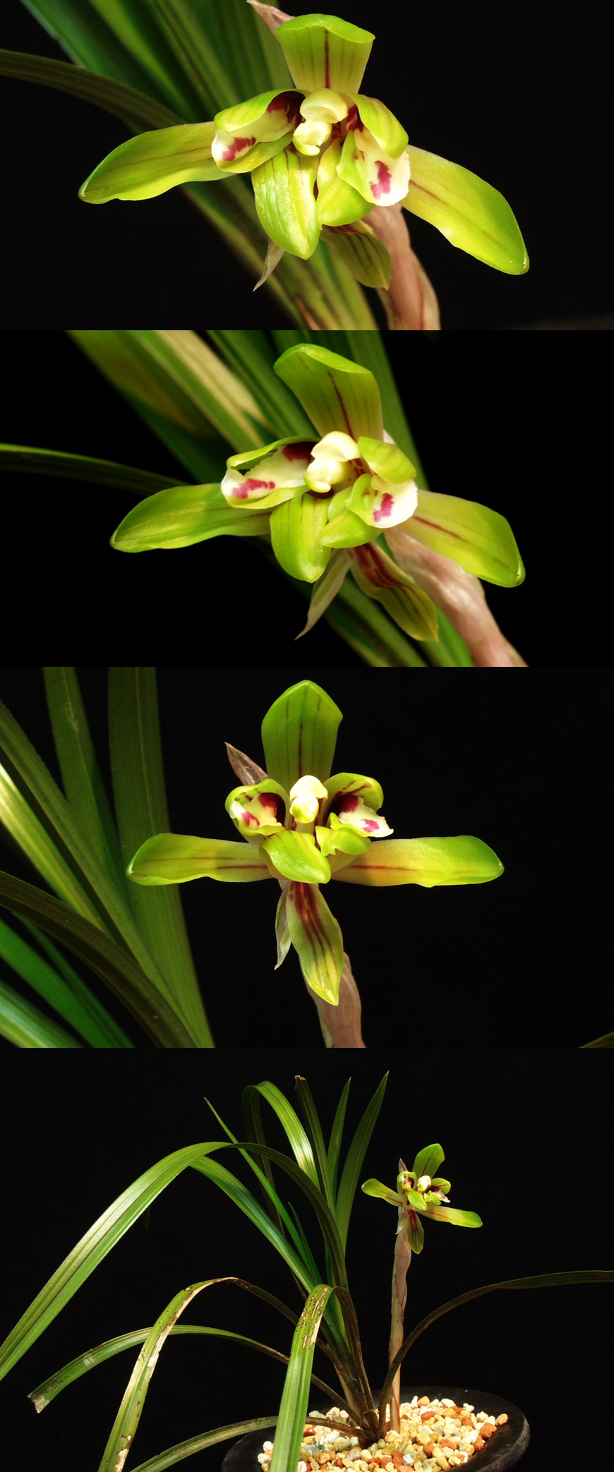 ������ ū������ �� �� �ֽ��ϴ�.