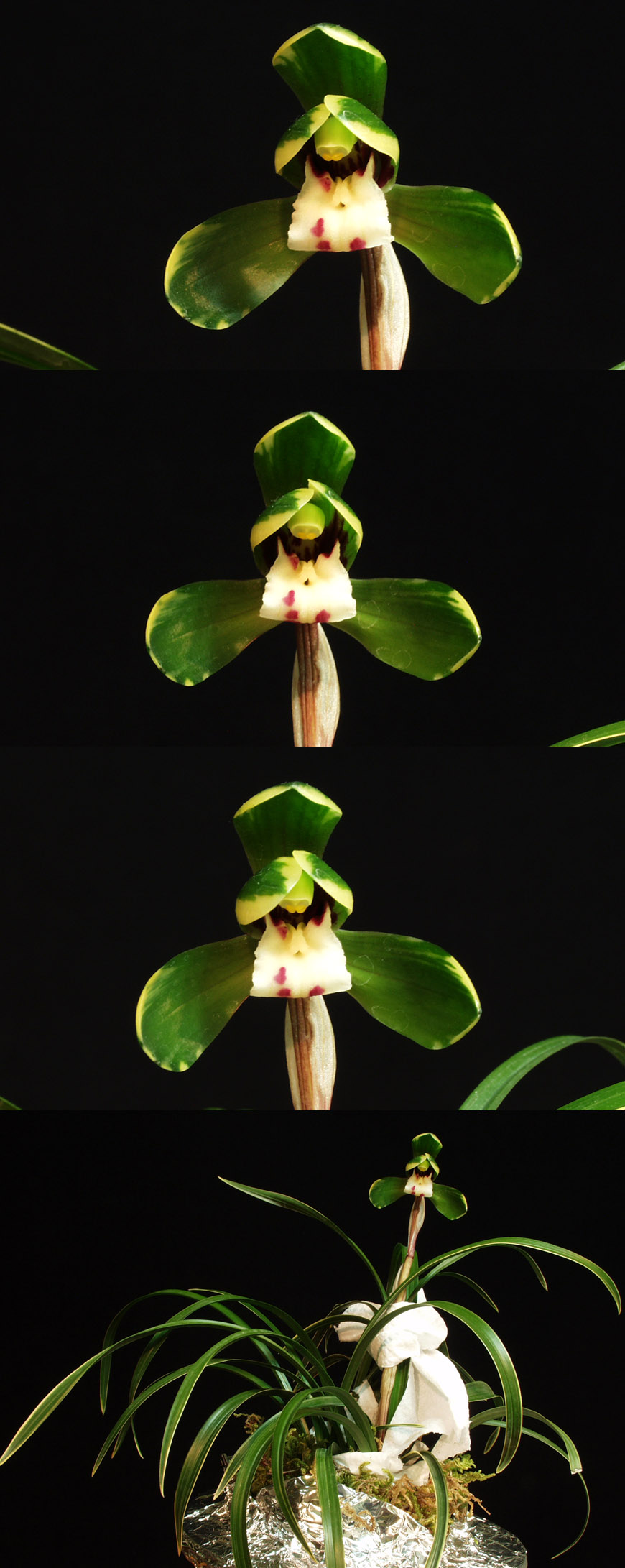 ������ ū������ �� �� �ֽ��ϴ�.