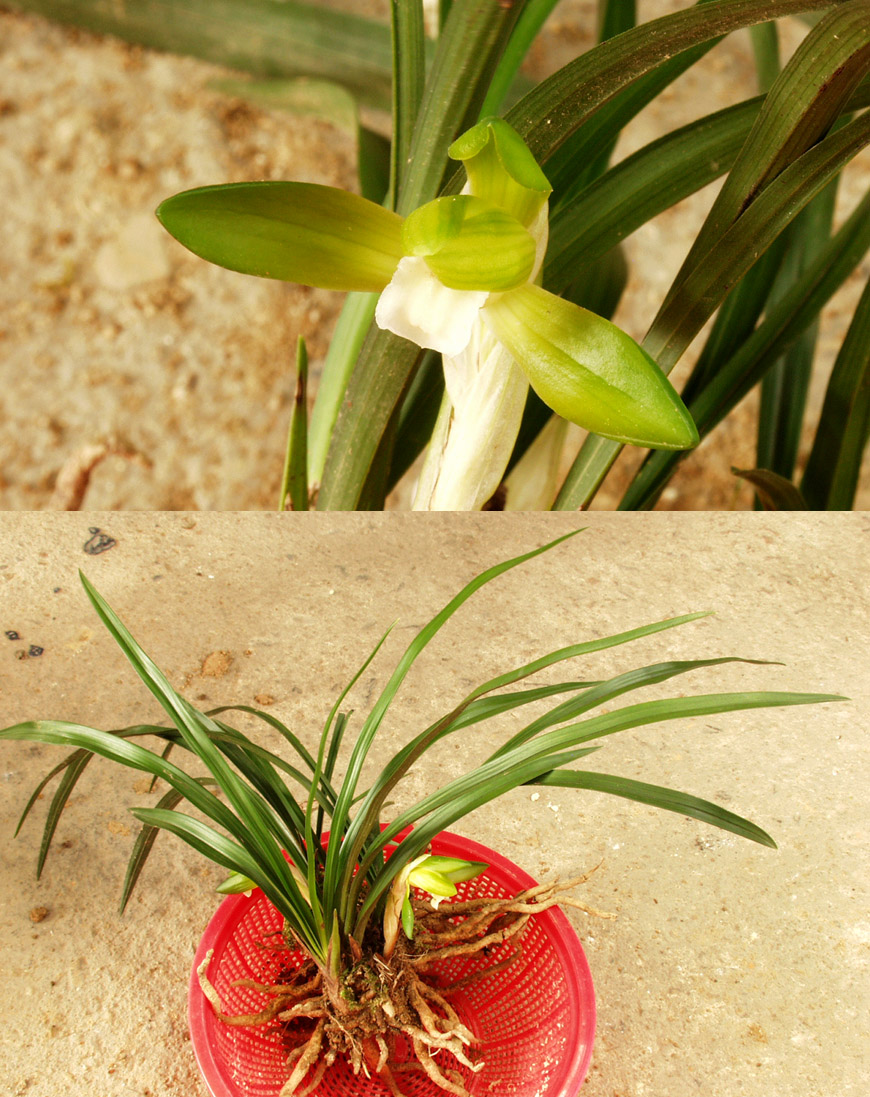 ������ ū������ �� �� �ֽ��ϴ�.