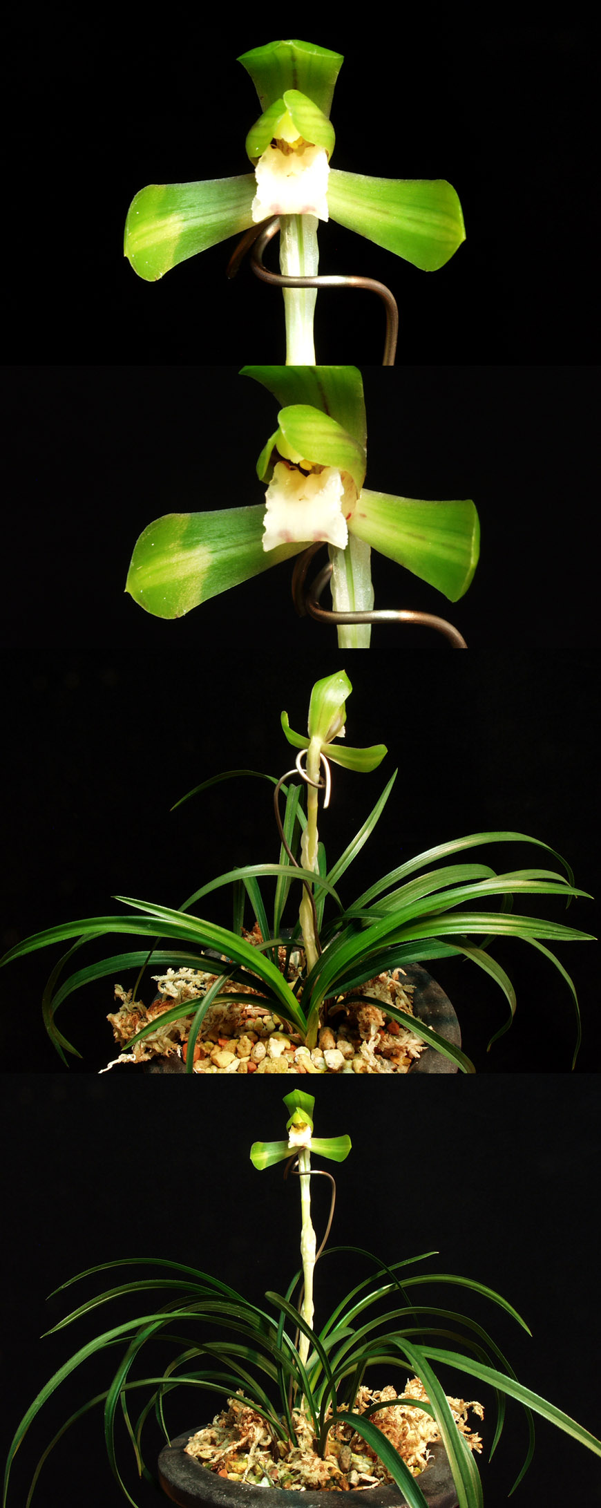 ������ ū������ �� �� �ֽ��ϴ�.