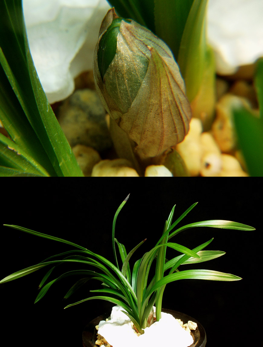 ������ ū������ �� �� �ֽ��ϴ�.