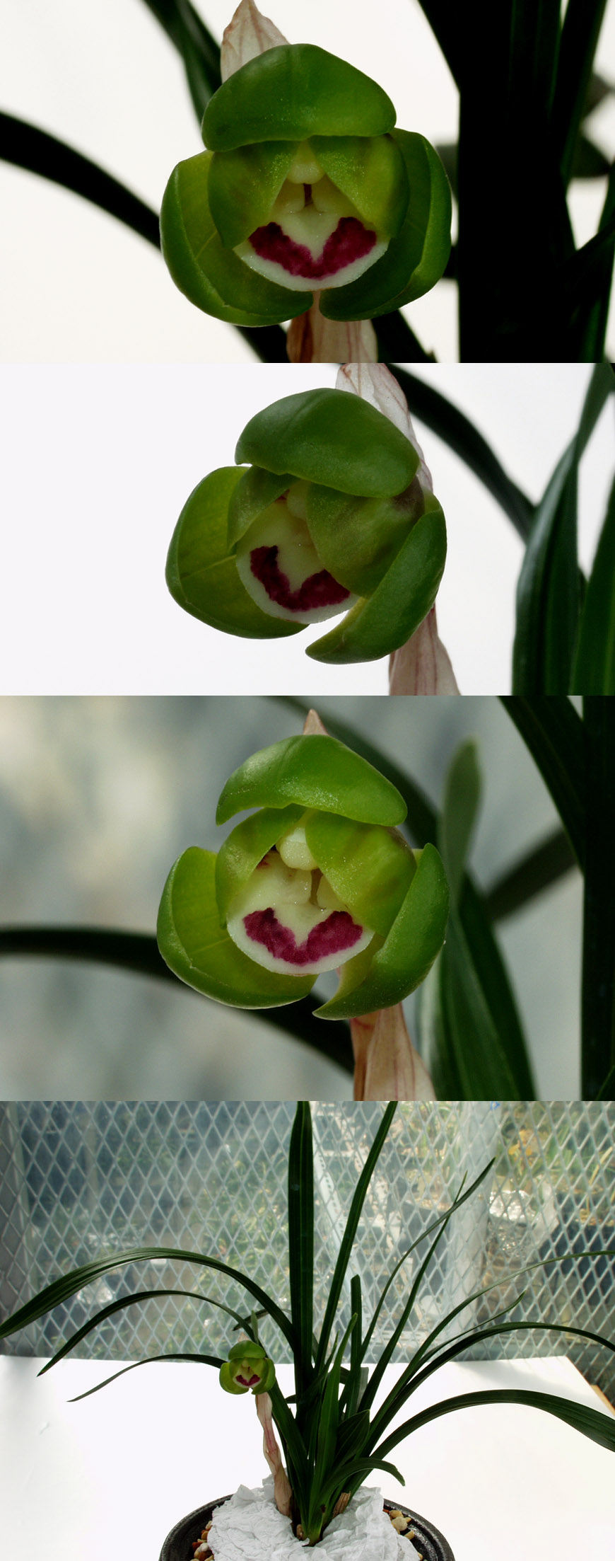 ������ ū������ �� �� �ֽ��ϴ�.