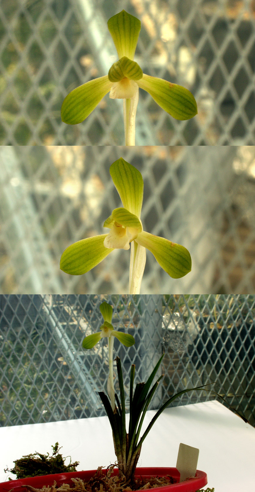 ������ ū������ �� �� �ֽ��ϴ�.