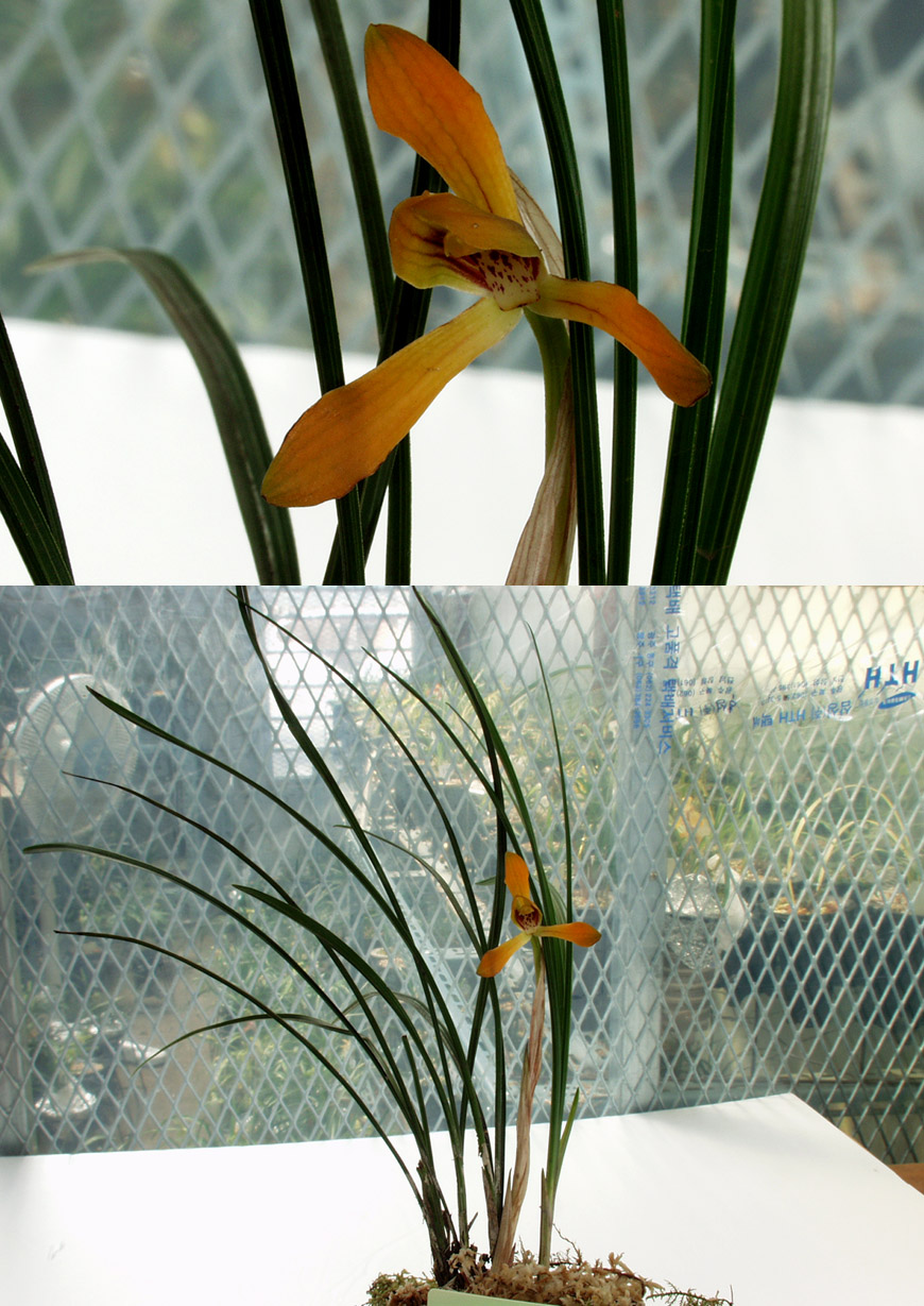 ������ ū������ �� �� �ֽ��ϴ�.