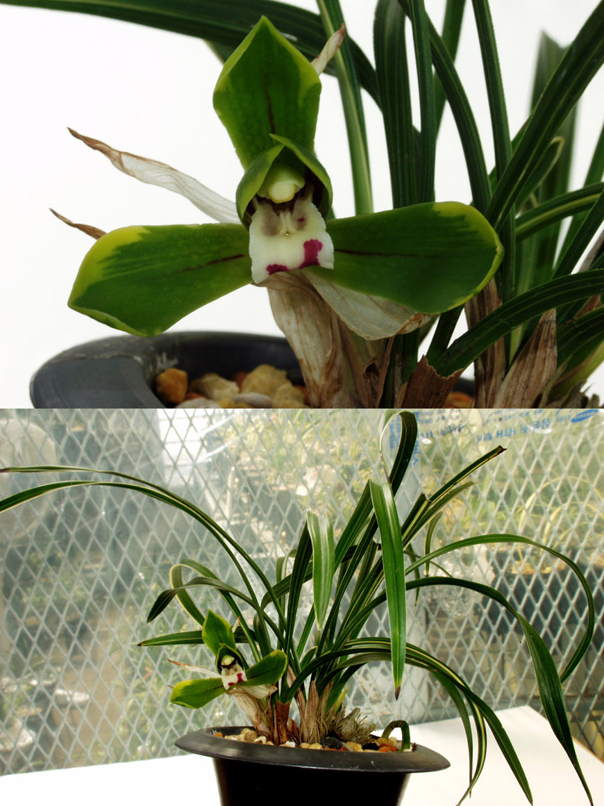 ������ ū������ �� �� �ֽ��ϴ�.