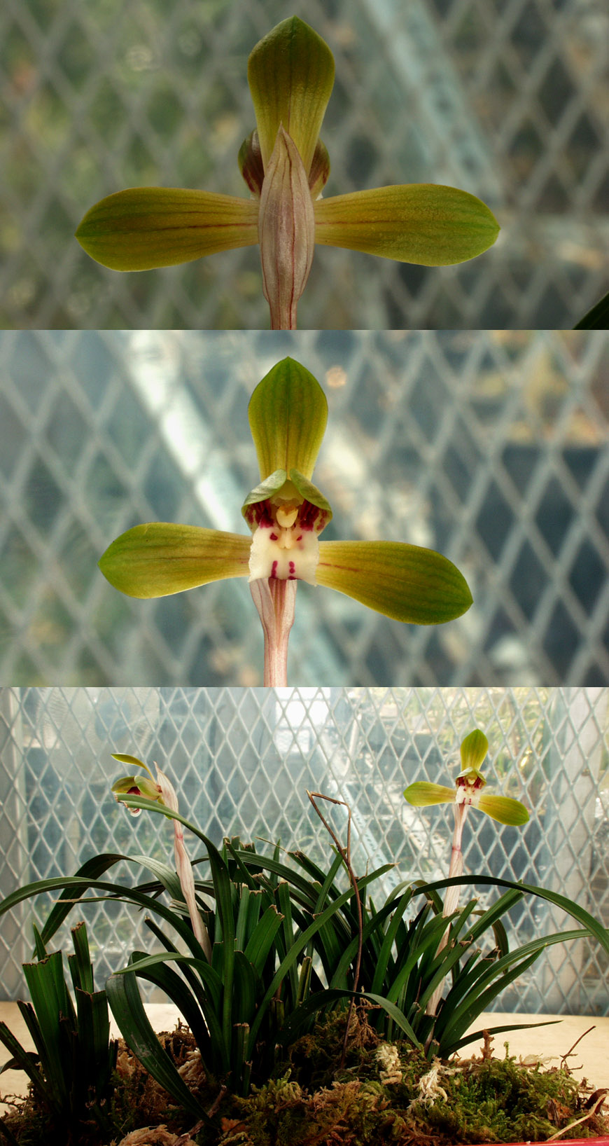 ������ ū������ �� �� �ֽ��ϴ�.