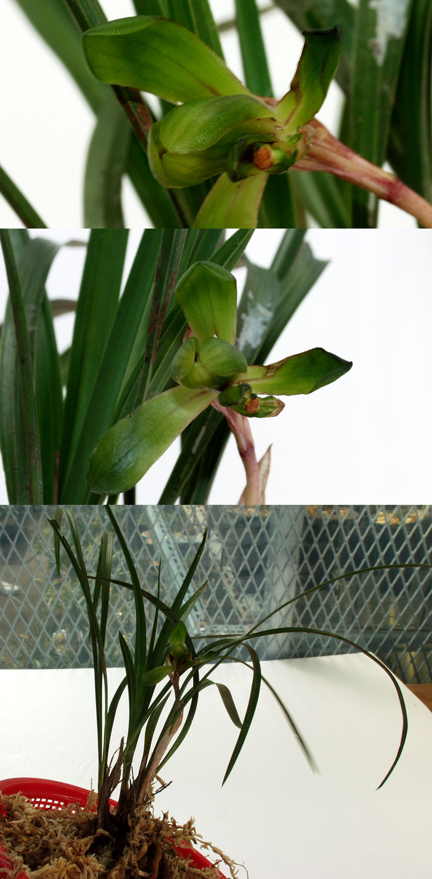 ������ ū������ �� �� �ֽ��ϴ�.