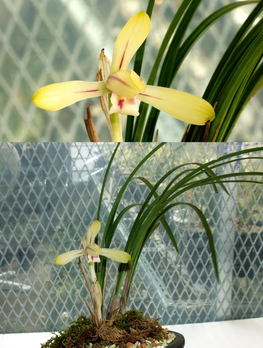 ������ ū������ �� �� �ֽ��ϴ�.