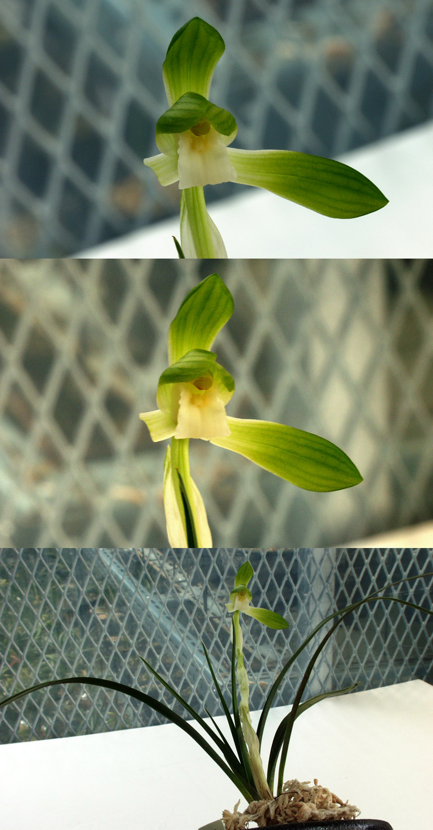 ������ ū������ �� �� �ֽ��ϴ�.