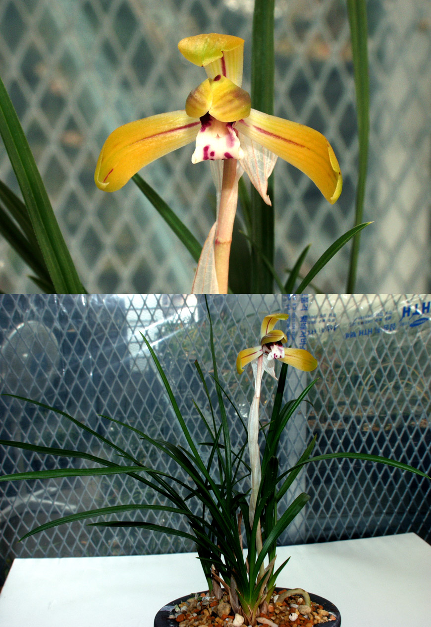 ������ ū������ �� �� �ֽ��ϴ�.