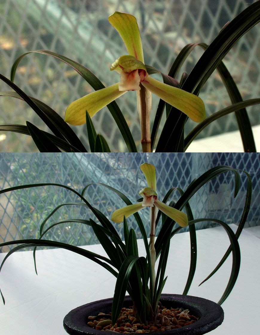 ������ ū������ �� �� �ֽ��ϴ�.