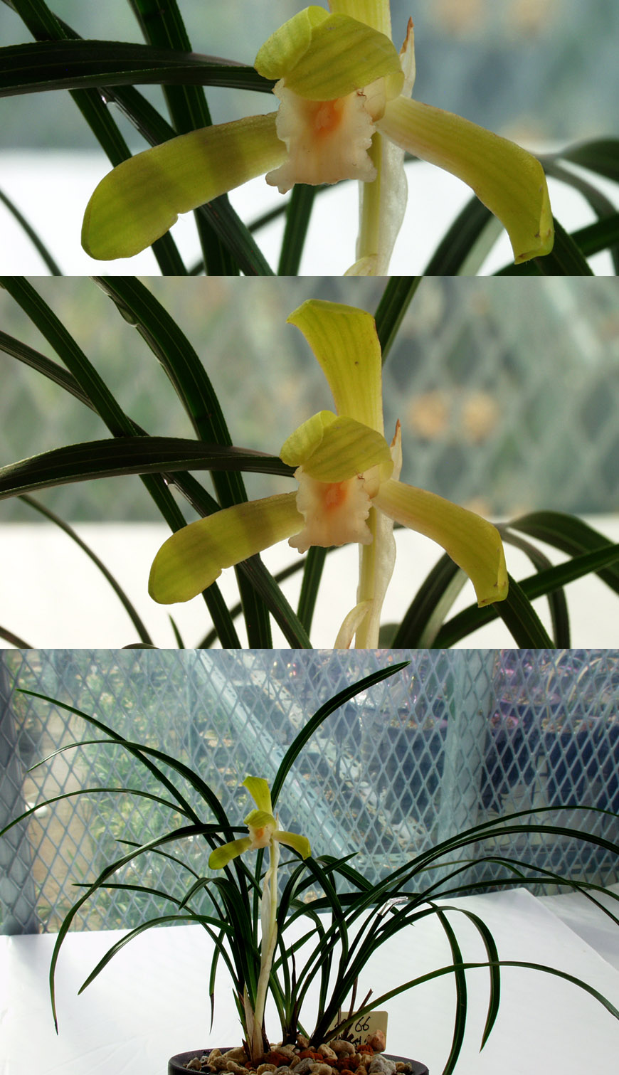 ������ ū������ �� �� �ֽ��ϴ�.