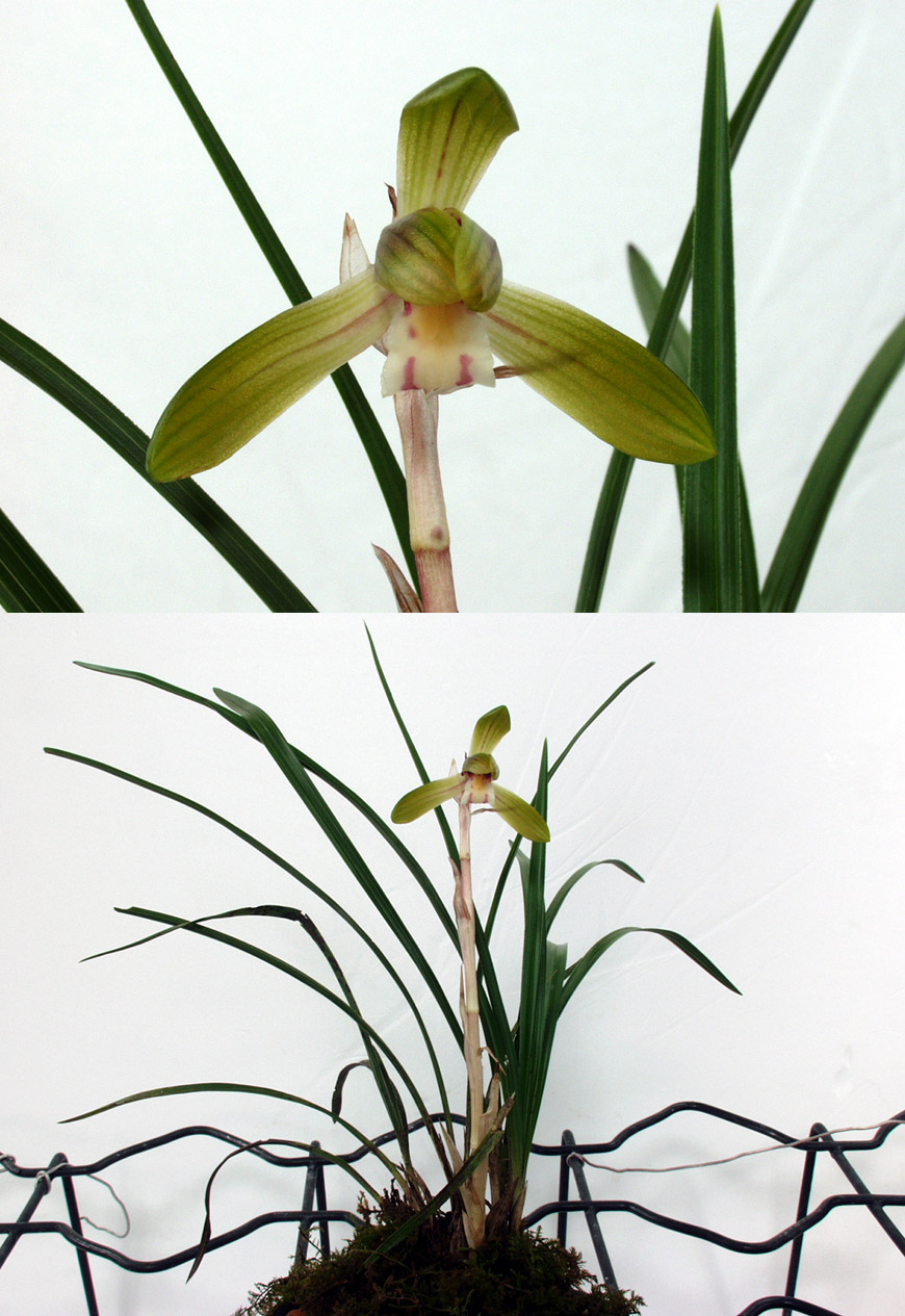 ������ ū������ �� �� �ֽ��ϴ�.