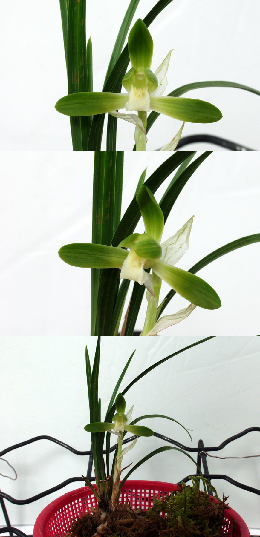 ������ ū������ �� �� �ֽ��ϴ�.