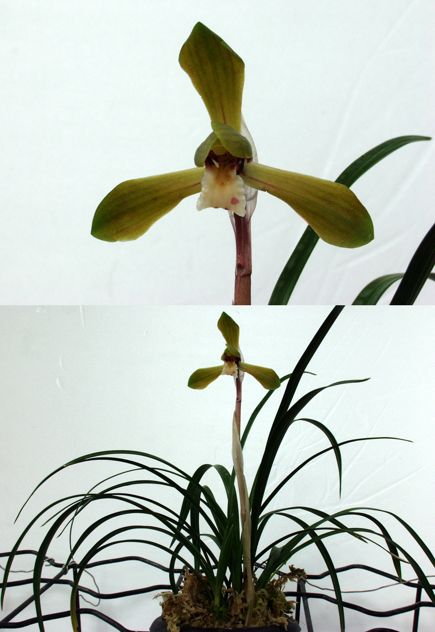 ������ ū������ �� �� �ֽ��ϴ�.