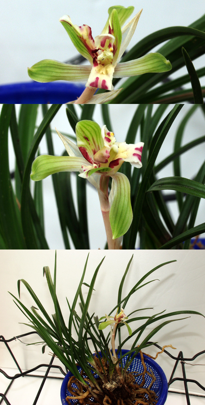 ������ ū������ �� �� �ֽ��ϴ�.