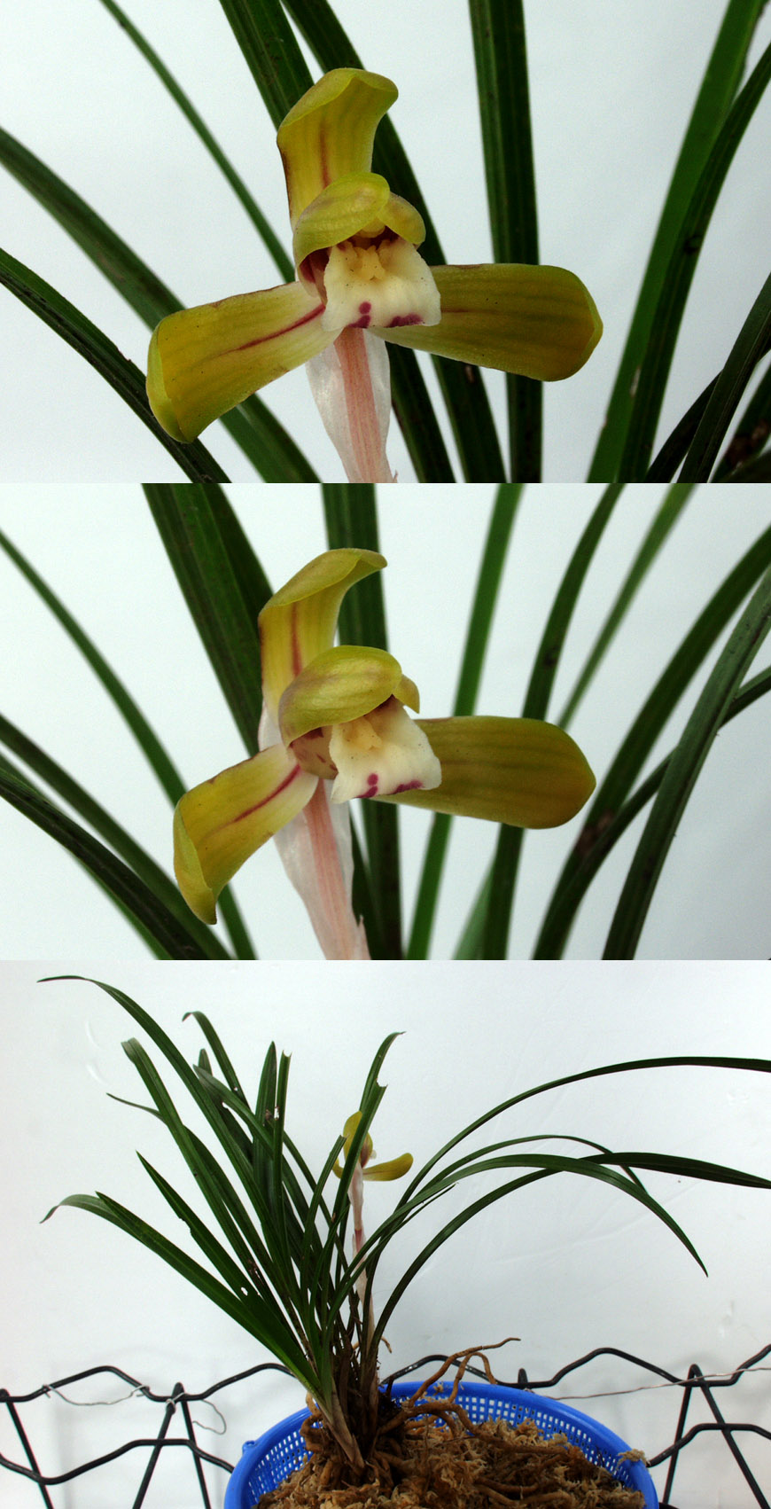 ������ ū������ �� �� �ֽ��ϴ�.