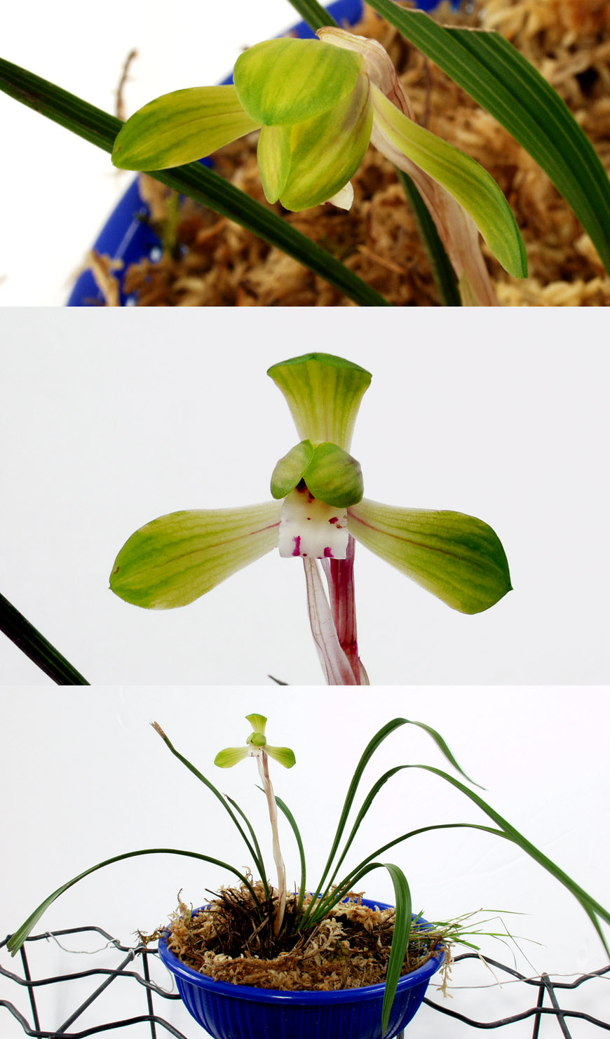 ������ ū������ �� �� �ֽ��ϴ�.