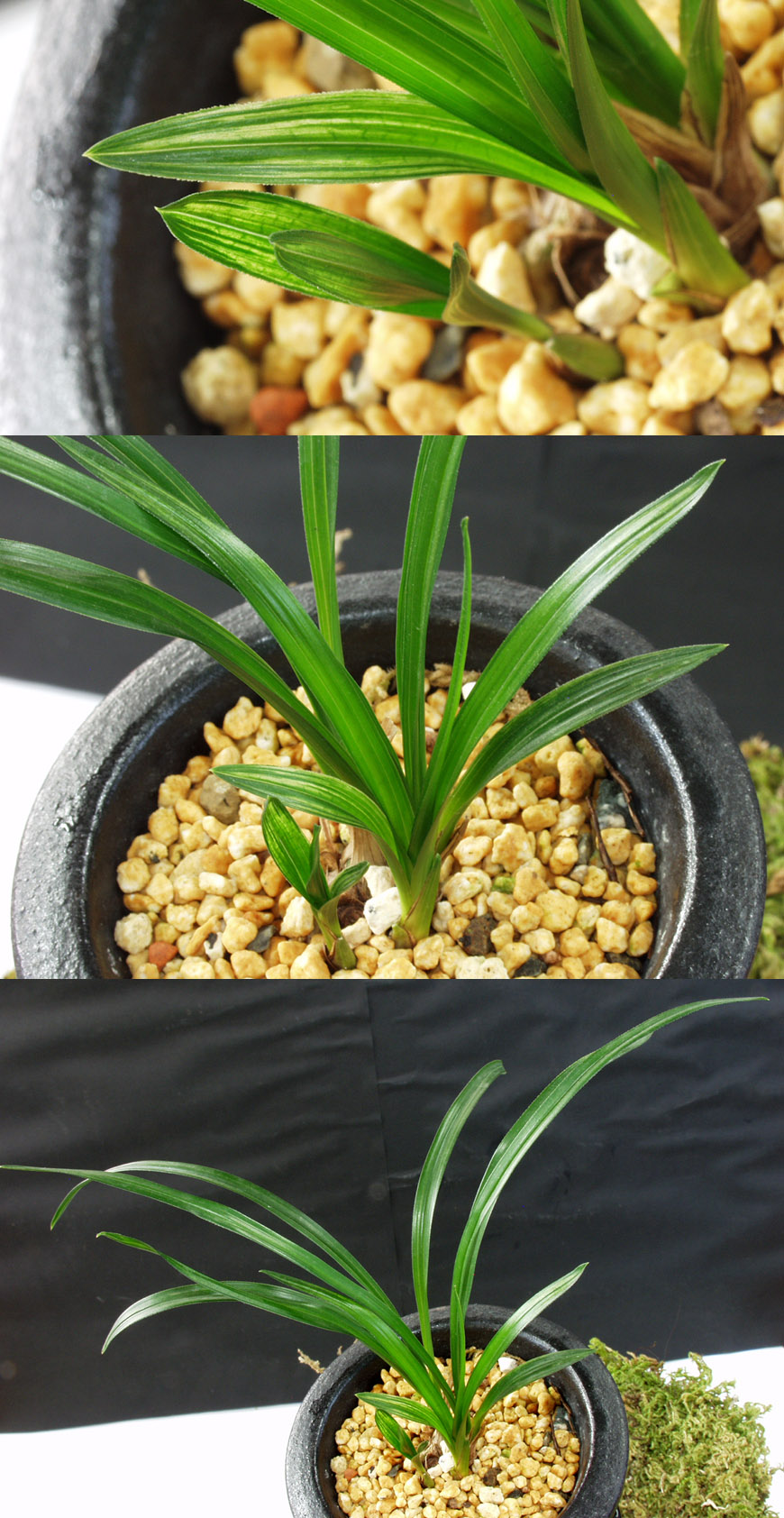 ������ ū������ �� �� �ֽ��ϴ�.