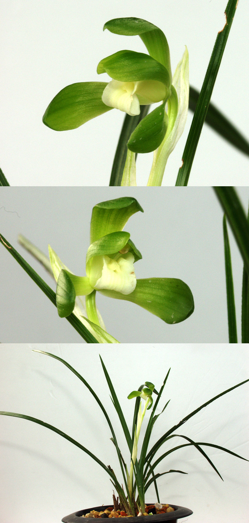 ������ ū������ �� �� �ֽ��ϴ�.