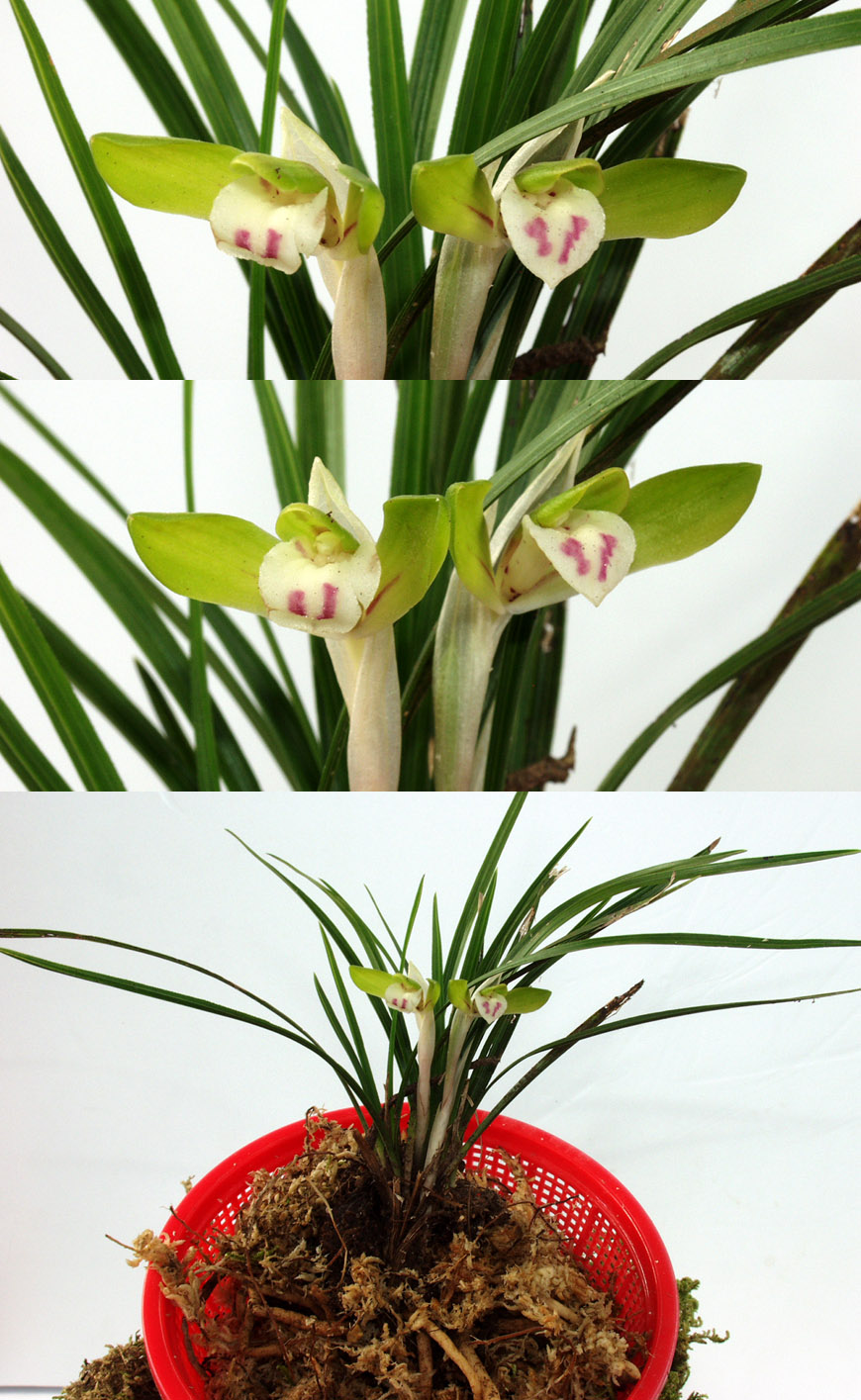 ������ ū������ �� �� �ֽ��ϴ�.