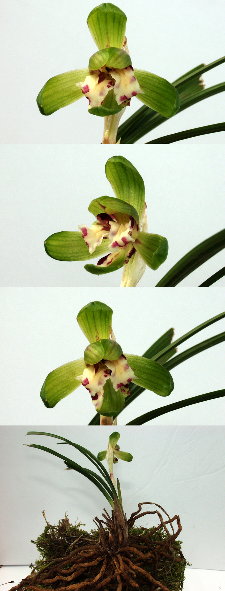 ������ ū������ �� �� �ֽ��ϴ�.