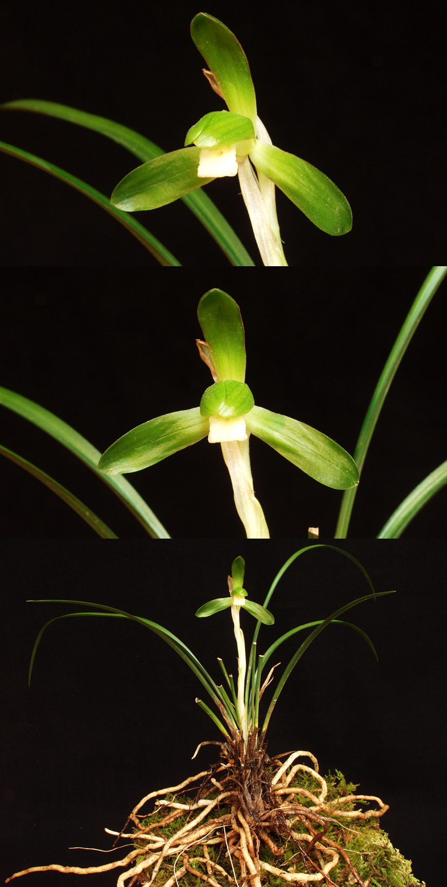 ������ ū������ �� �� �ֽ��ϴ�.