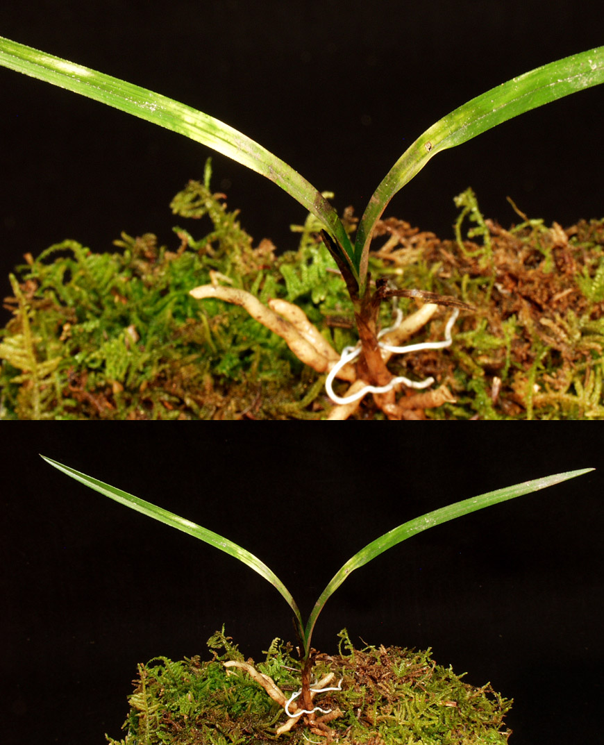 ������ ū������ �� �� �ֽ��ϴ�.