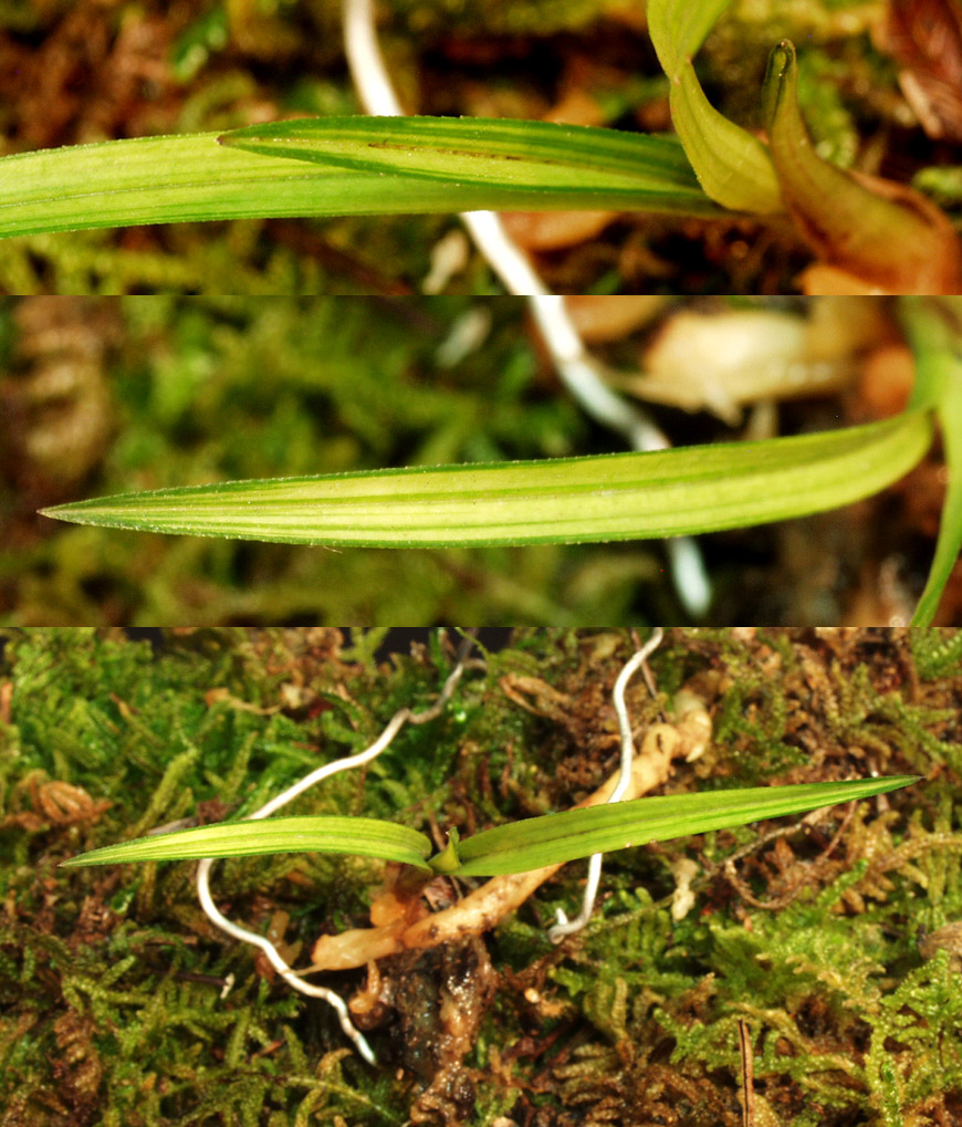 ������ ū������ �� �� �ֽ��ϴ�.