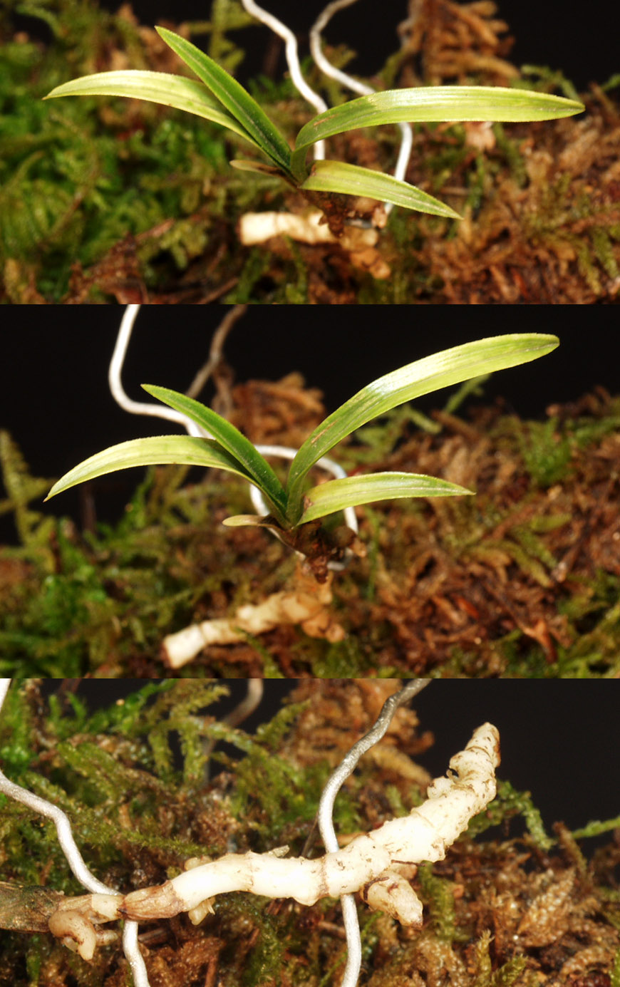 ������ ū������ �� �� �ֽ��ϴ�.