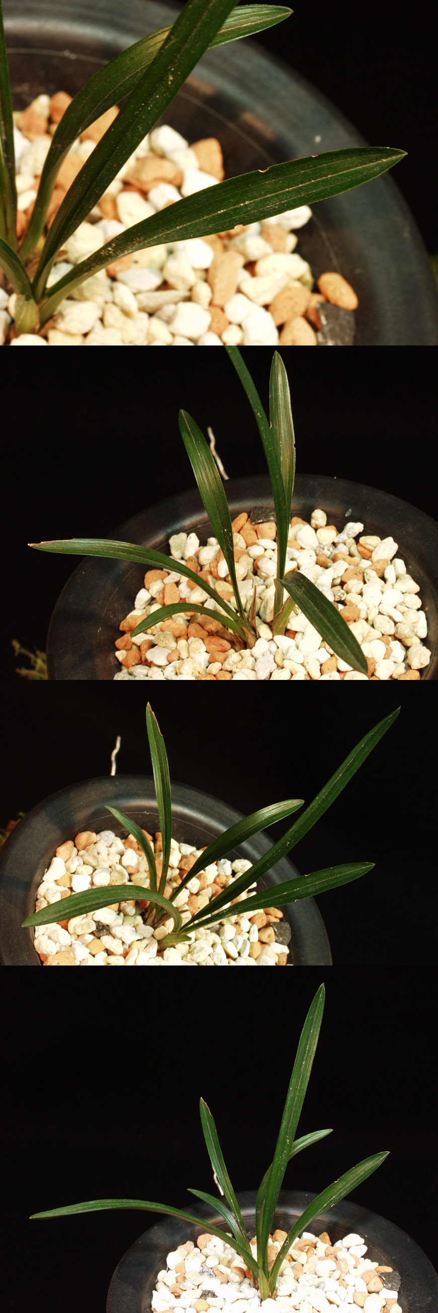 ������ ū������ �� �� �ֽ��ϴ�.